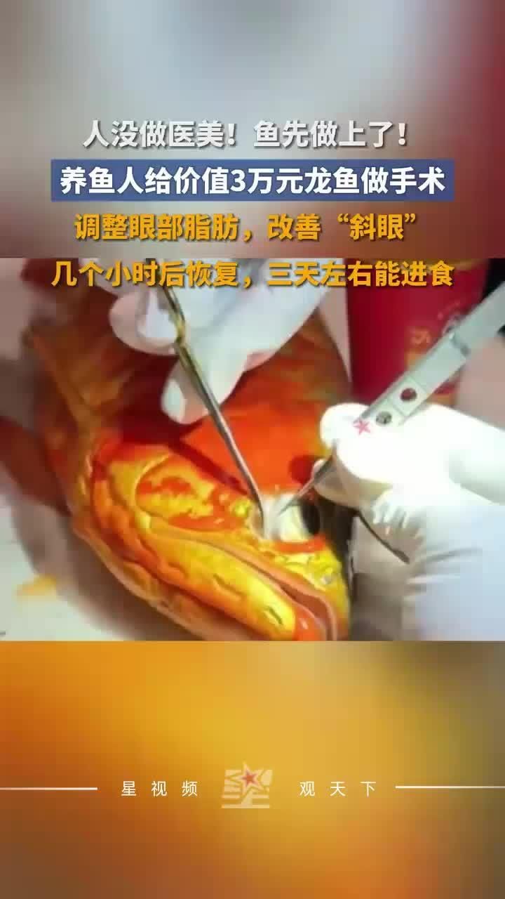 龍魚眼睛白膜和突出哪個(gè)更嚴(yán)重，龍魚眼睛白膜與眼球突出 龍魚眼睛白膜和突出哪個(gè)更嚴(yán)重，龍魚眼睛白膜與眼球突出 龍魚百科 第6張