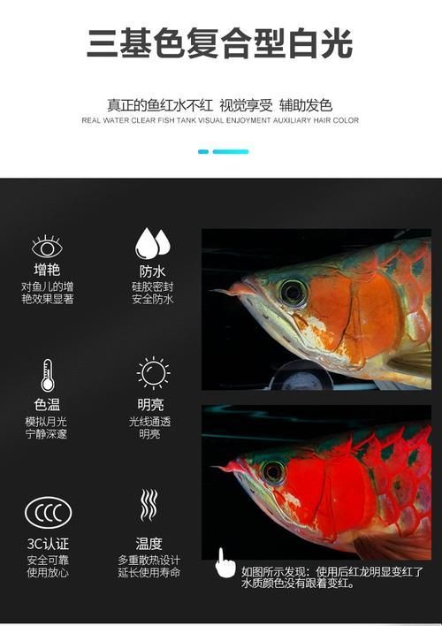 如何判斷龍魚增色燈是否有效？，如何判斷龍魚增色燈是否有效