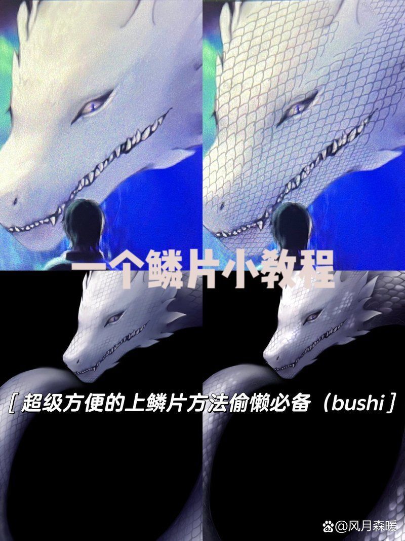 能否提供龍魚鱗片的繪畫視頻教程，-繪制龍魚鱗片繪制龍魚鱗片的繪畫教程