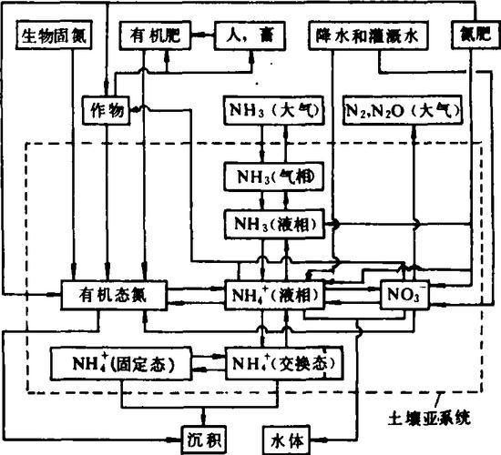 如何預(yù)防魚(yú)缸水細(xì)菌感染復(fù)發(fā)，如何預(yù)防魚(yú)缸水細(xì)菌感染 如何預(yù)防魚(yú)缸水細(xì)菌感染復(fù)發(fā)，如何預(yù)防魚(yú)缸水細(xì)菌感染 龍魚(yú)百科 第4張