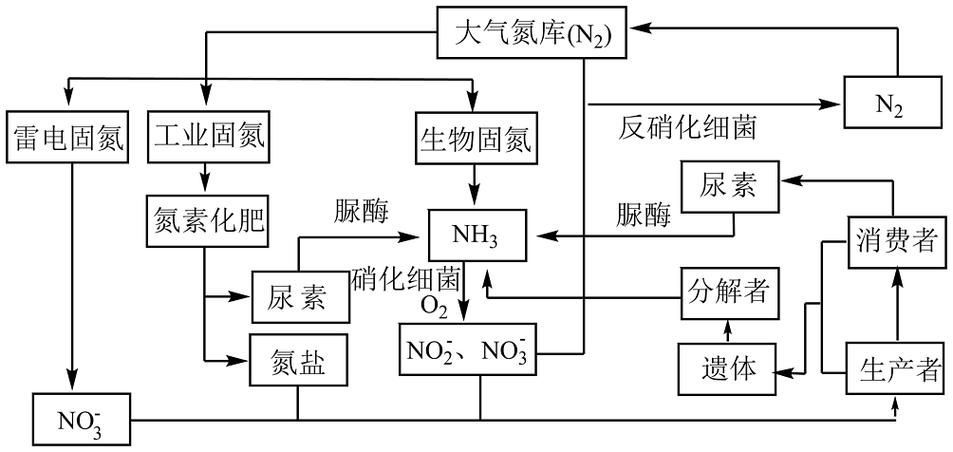 如何預(yù)防魚(yú)缸水細(xì)菌感染復(fù)發(fā)，如何預(yù)防魚(yú)缸水細(xì)菌感染 如何預(yù)防魚(yú)缸水細(xì)菌感染復(fù)發(fā)，如何預(yù)防魚(yú)缸水細(xì)菌感染 龍魚(yú)百科 第5張