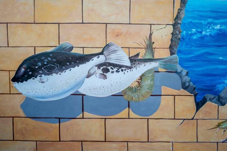 曹妃甸龍魚市場有哪些特色，曹妃甸“龍魚市場” 曹妃甸龍魚市場有哪些特色，曹妃甸“龍魚市場” 龍魚百科 第4張