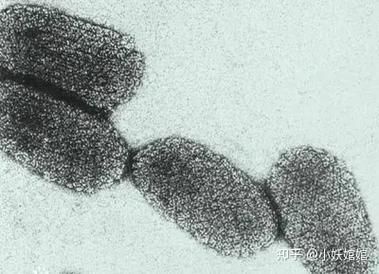 六角龍魚對哪些污染物最敏感,六角龍魚對哪些污染物最敏感調用工具arxiv論文助手 龍魚百科 第2張 六角龍魚對哪些污染物最敏感,六角龍魚對哪些污染物最敏感調用工具arxiv論文助手 六角龍魚對哪些污染物最敏感,六角龍魚對哪些污染物最敏感調用工具arxiv論文助手 龍魚百科 第2張