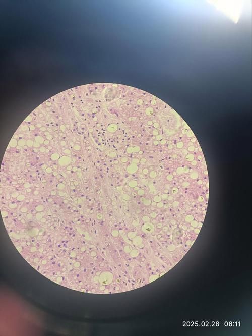 六角龍魚對哪些污染物最敏感,六角龍魚對哪些污染物最敏感調用工具arxiv論文助手 龍魚百科 第4張 六角龍魚對哪些污染物最敏感,六角龍魚對哪些污染物最敏感調用工具arxiv論文助手 六角龍魚對哪些污染物最敏感,六角龍魚對哪些污染物最敏感調用工具arxiv論文助手 龍魚百科 第4張