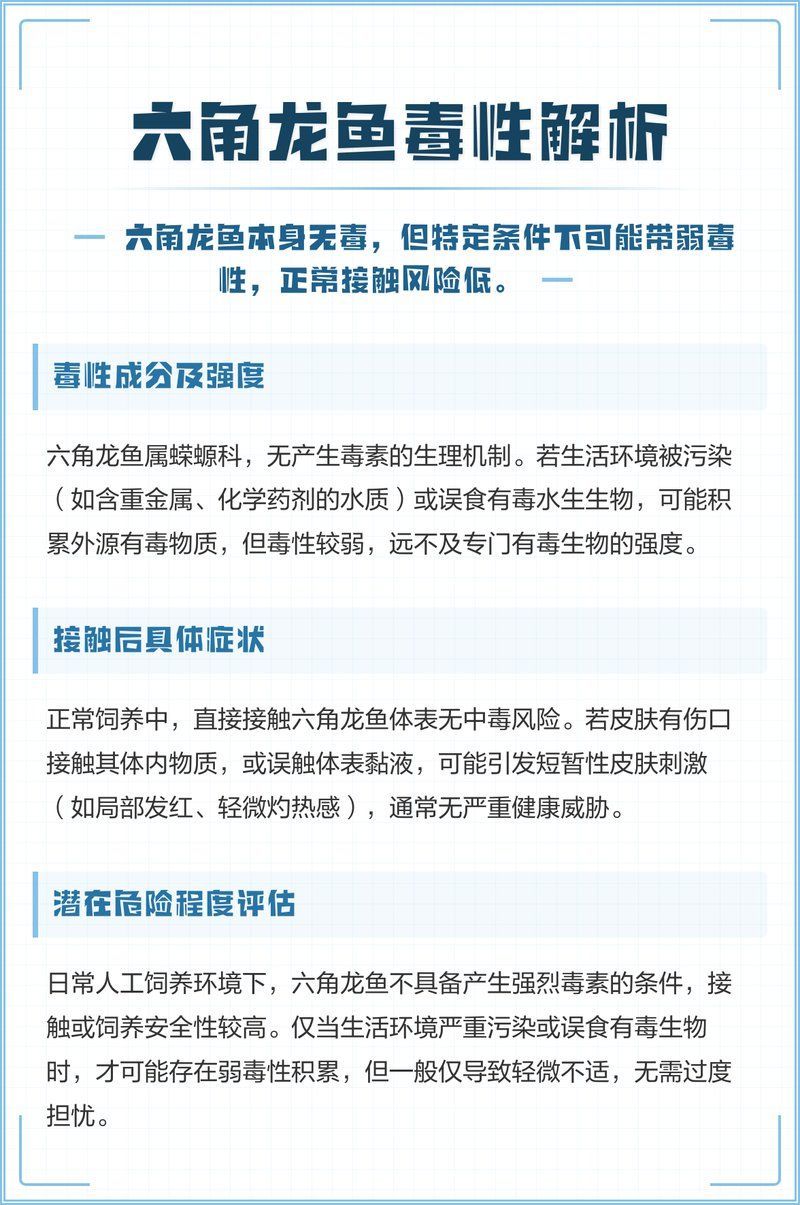 六角龍魚對哪些污染物最敏感，六角龍魚對哪些污染物最敏感調用工具arxiv論文助手 六角龍魚對哪些污染物最敏感，六角龍魚對哪些污染物最敏感調用工具arxiv論文助手 龍魚百科 第7張