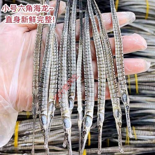 有哪些品牌推薦高質量的海龍魚干 有哪些品牌推薦高質量的海龍魚干 龍魚百科 第7張