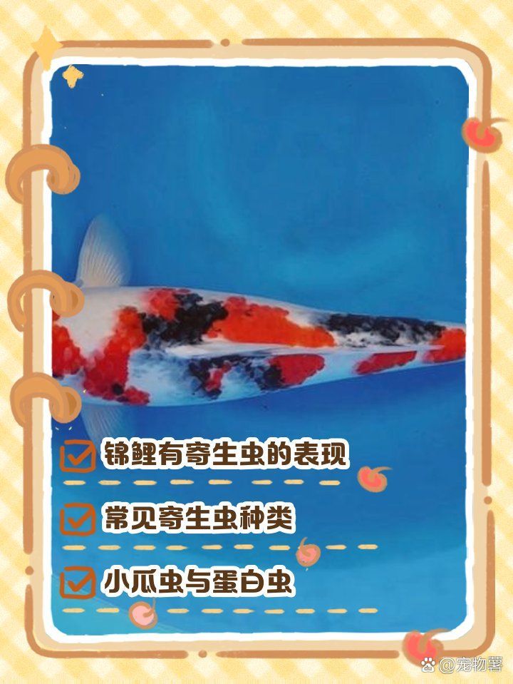 如何檢測魚類是否感染寄生蟲，寵物喂養(yǎng)達(dá)人，如何判斷魚類是否感染寄生蟲 如何檢測魚類是否感染寄生蟲，寵物喂養(yǎng)達(dá)人，如何判斷魚類是否感染寄生蟲 龍魚百科 第1張
