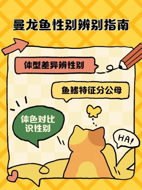 有沒有圖片可以直觀展示海龍魚的雌雄，如何判斷海龍魚的性別？