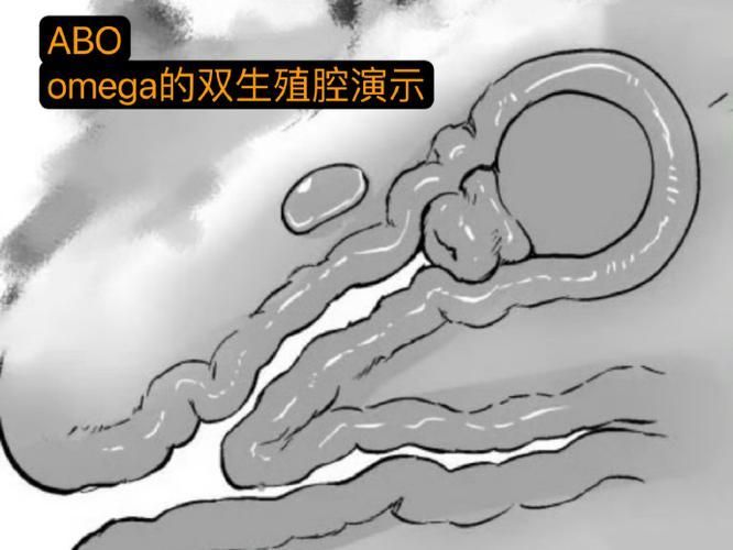 如何區分斯維尼關刀魚的雌雄？，如何區分斯維尼關刀魚（siganussutor）雌雄鑒別