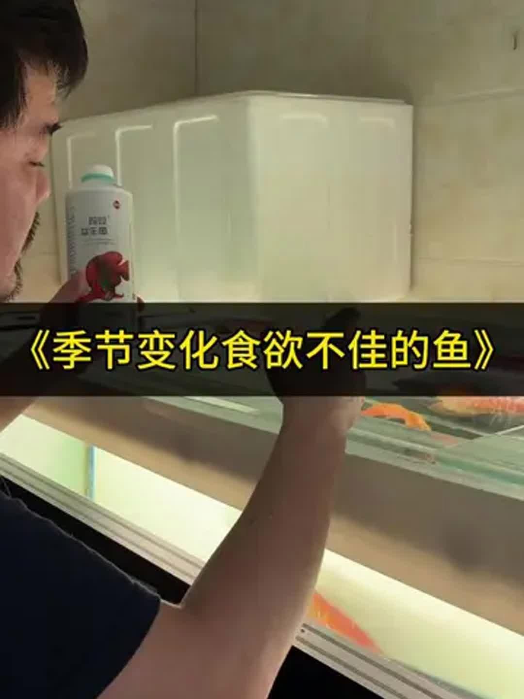 龍魚季節(jié)性拒食是正常現(xiàn)象嗎？，如何判斷龍魚是否季節(jié)性拒食？