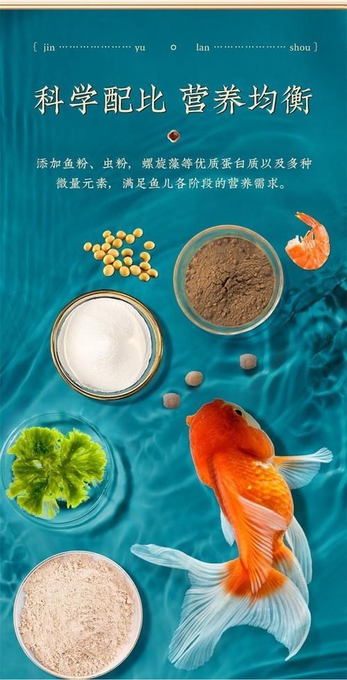 如何判斷銀龍魚飼料的質量？，如何判斷銀龍魚飼料的質量
