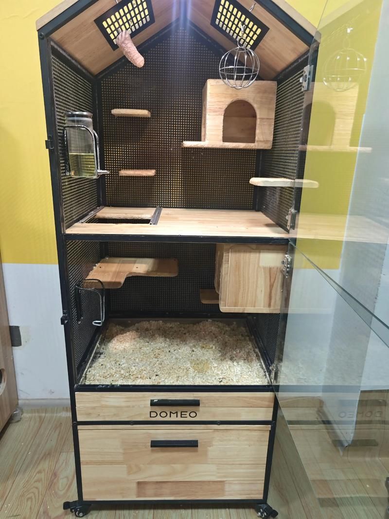 如何選擇合適的龍貓籠，如何為龍貓選擇合適的籠子