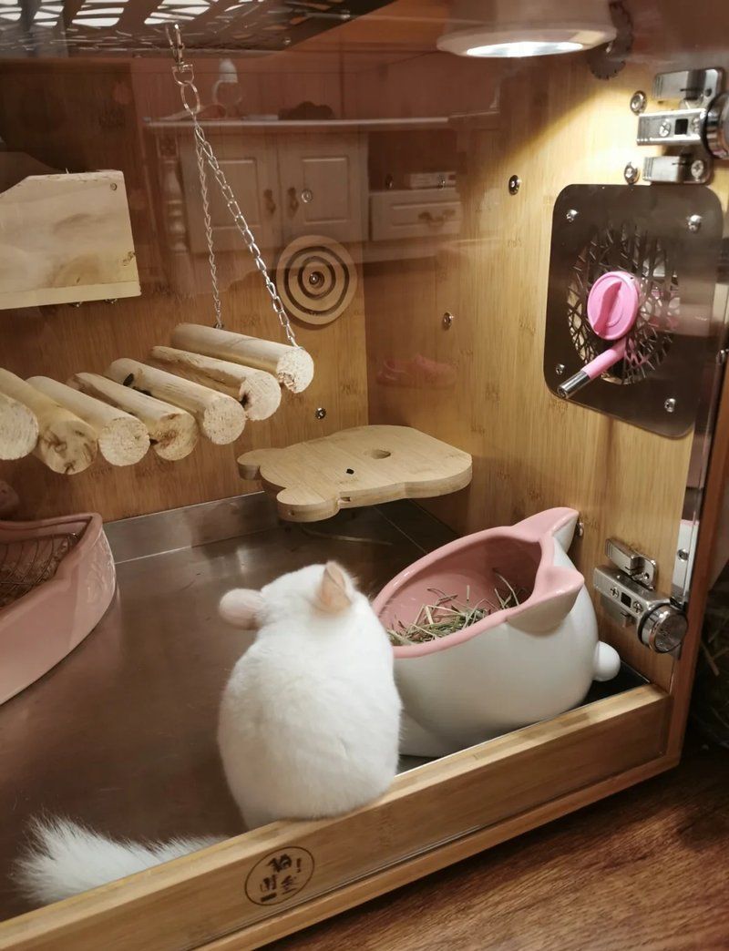 如何選擇合適的龍貓籠，如何為龍貓選擇合適的籠子