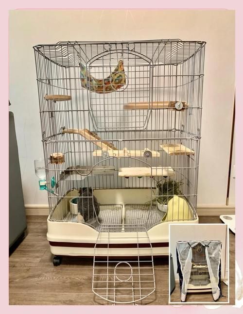 如何選擇合適的龍貓籠，如何為龍貓選擇合適的籠子