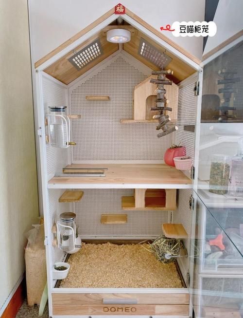 如何選擇合適的龍貓籠，如何為龍貓選擇合適的籠子