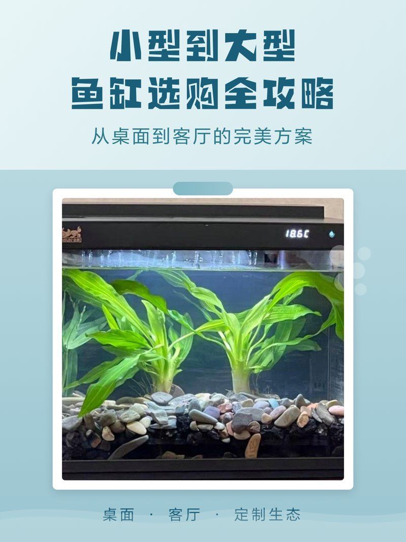這幾款魚缸的價格范圍是多少，玻璃魚缸、亞克力魚缸、亞克力魚缸、亞克力魚缸價格范圍