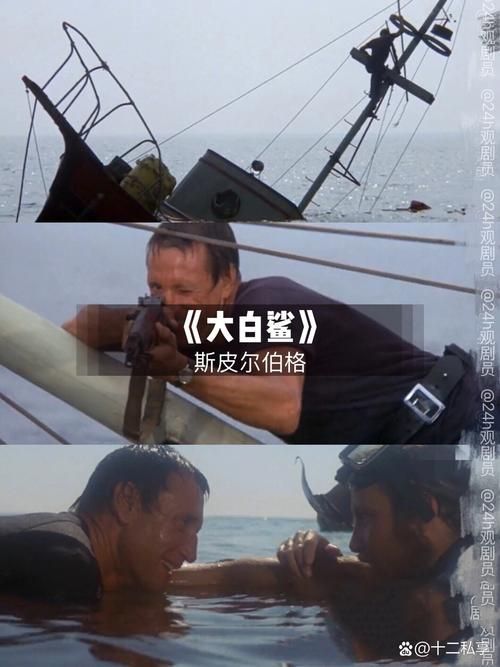 《大白鯊》對后世電影有哪些影響？，《大白鯊》《大白鯊》對后世電影的影響影響深遠的影響 《大白鯊》對后世電影有哪些影響？，《大白鯊》《大白鯊》對后世電影的影響影響深遠的影響 龍魚百科 第5張