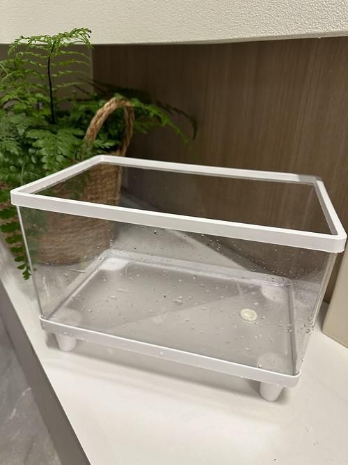 推薦一些適合放在客廳的魚缸款式，客廳魚缸款式推薦，適合放在客廳的魚缸款式推薦 推薦一些適合放在客廳的魚缸款式，客廳魚缸款式推薦，適合放在客廳的魚缸款式推薦 龍魚百科 第6張