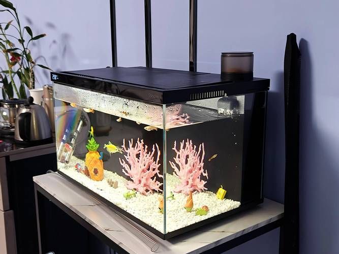 推薦一些適合放在客廳的魚缸款式，客廳魚缸款式推薦，適合放在客廳的魚缸款式推薦 推薦一些適合放在客廳的魚缸款式，客廳魚缸款式推薦，適合放在客廳的魚缸款式推薦 龍魚百科 第7張