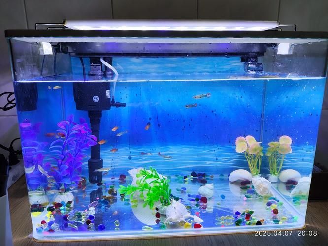 推薦一些適合放在客廳的魚缸款式，客廳魚缸款式推薦，適合放在客廳的魚缸款式推薦 推薦一些適合放在客廳的魚缸款式，客廳魚缸款式推薦，適合放在客廳的魚缸款式推薦 龍魚百科 第19張