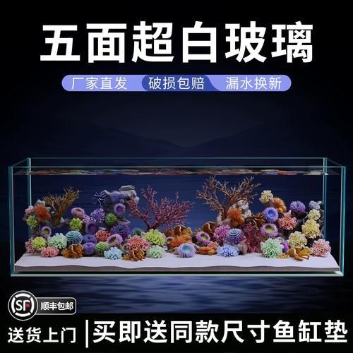 推薦一些適合放在客廳的魚缸款式，客廳魚缸款式推薦，適合放在客廳的魚缸款式推薦 推薦一些適合放在客廳的魚缸款式，客廳魚缸款式推薦，適合放在客廳的魚缸款式推薦 龍魚百科 第4張