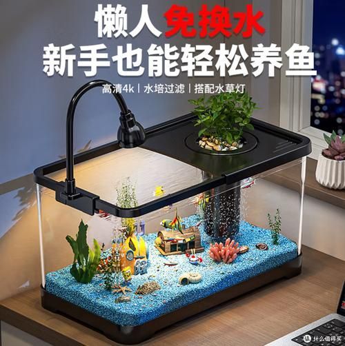 推薦一些適合放在客廳的魚缸款式，客廳魚缸款式推薦，適合放在客廳的魚缸款式推薦 推薦一些適合放在客廳的魚缸款式，客廳魚缸款式推薦，適合放在客廳的魚缸款式推薦 龍魚百科 第8張