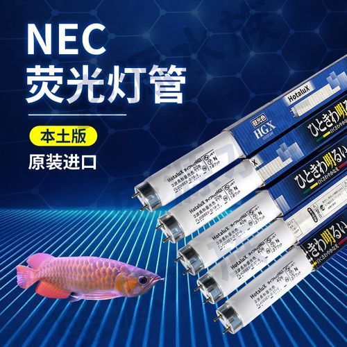 nec龍魚燈哪個型號最好