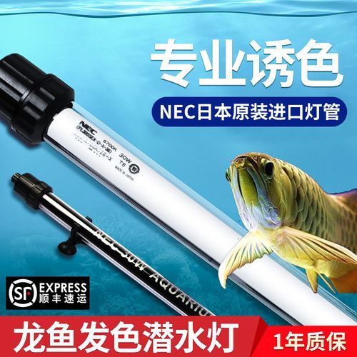 詳細閱讀:nec龍魚燈哪個型號最好 nec龍魚燈哪個型號最好