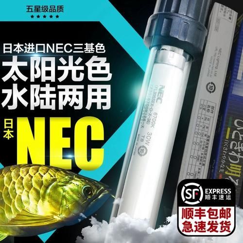 nec龍魚燈哪個型號最好