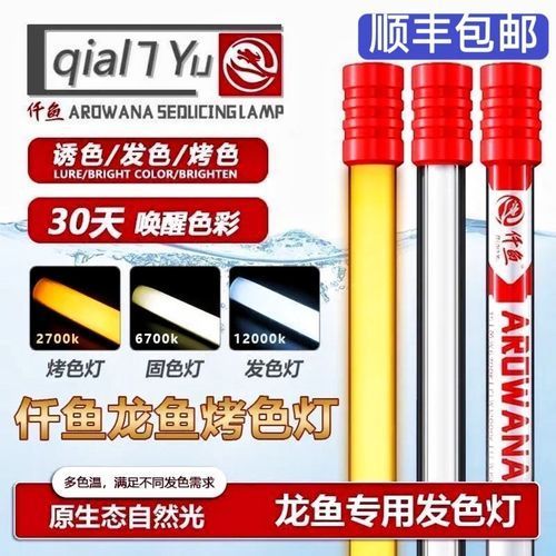 nec龍魚燈哪個型號最好