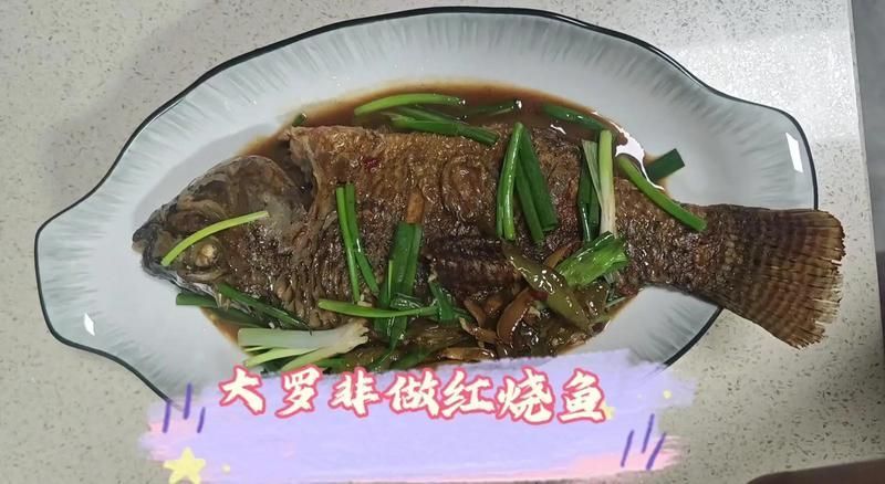 如何烹飪大金龍魚使其更美味？，大金龍魚（羅非魚或羅非魚（scleropagesformosus） 如何烹飪大金龍魚使其更美味？，大金龍魚（羅非魚或羅非魚（scleropagesformosus） 龍魚百科 第15張