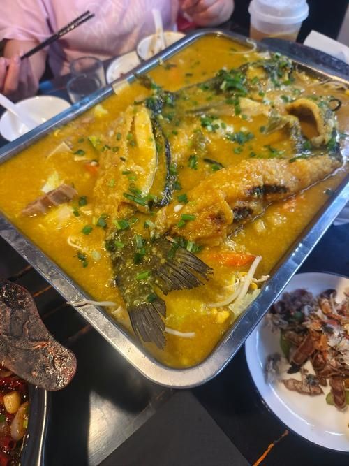 如何烹飪大金龍魚使其更美味？，大金龍魚（羅非魚或羅非魚（scleropagesformosus） 如何烹飪大金龍魚使其更美味？，大金龍魚（羅非魚或羅非魚（scleropagesformosus） 龍魚百科 第11張