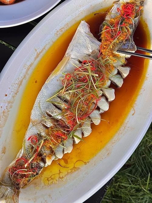 如何烹飪大金龍魚使其更美味？，大金龍魚（羅非魚或羅非魚（scleropagesformosus）
