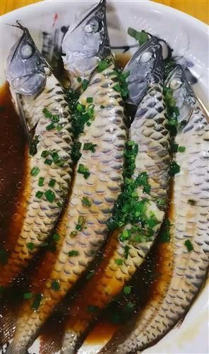 如何烹飪大金龍魚使其更美味？，大金龍魚（羅非魚或羅非魚（scleropagesformosus） 如何烹飪大金龍魚使其更美味？，大金龍魚（羅非魚或羅非魚（scleropagesformosus） 龍魚百科 第4張