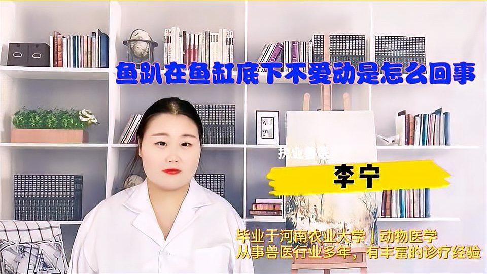 詳細閱讀:魚沉底了還有救嗎,魚沉底了還有救嗎暗示著一種情境 魚沉底了還有救嗎,魚沉底了還有救嗎暗示著一種情境
