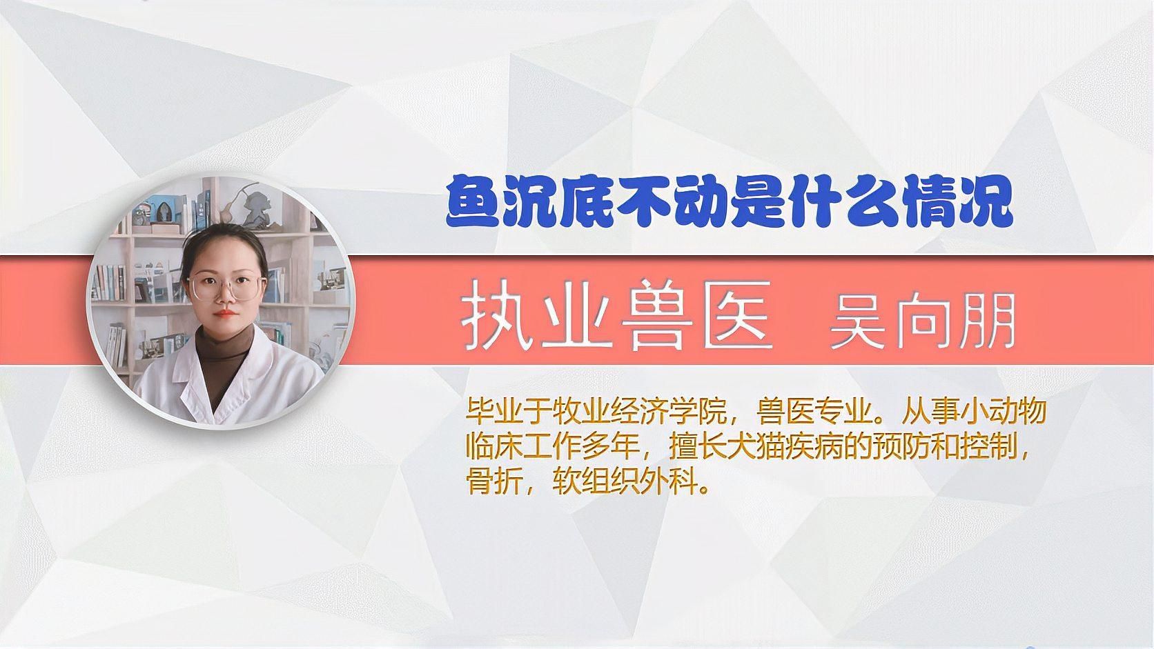 魚沉底了還有救嗎，魚沉底了還有救嗎暗示著一種情境