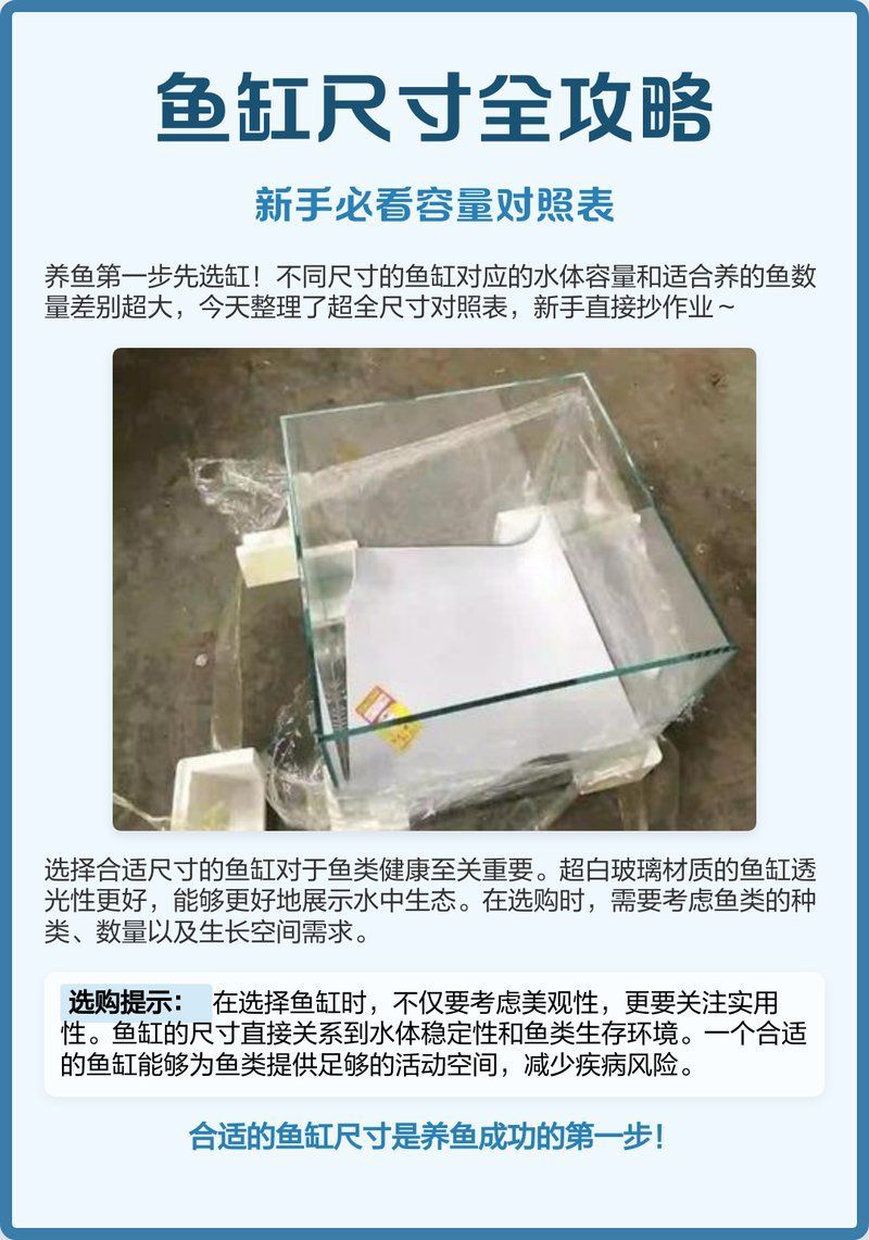 有哪些魚缸尺寸適合新手，|新手養魚必備魚缸尺寸全攻略|新手養魚必備
