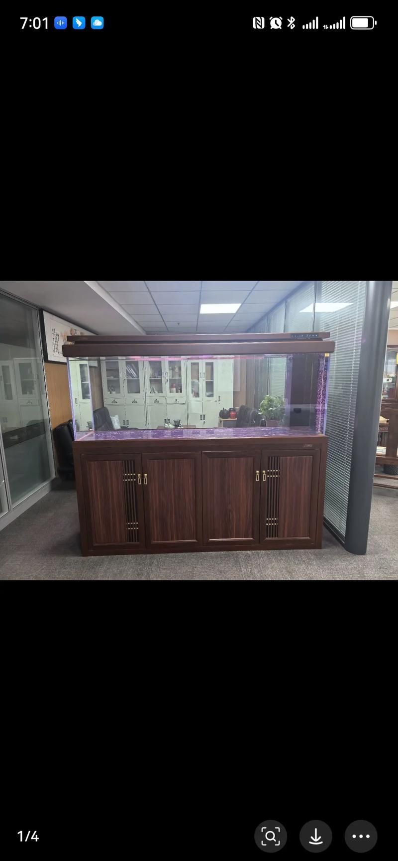 有哪些魚缸尺寸適合新手，|新手養魚必備魚缸尺寸全攻略|新手養魚必備
