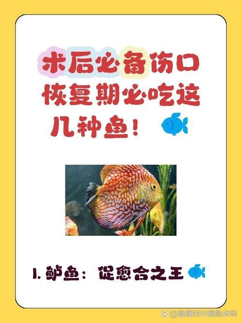 魚外傷后多久會恢復，arxiv論文助手arxiv論文arxiv論文助手