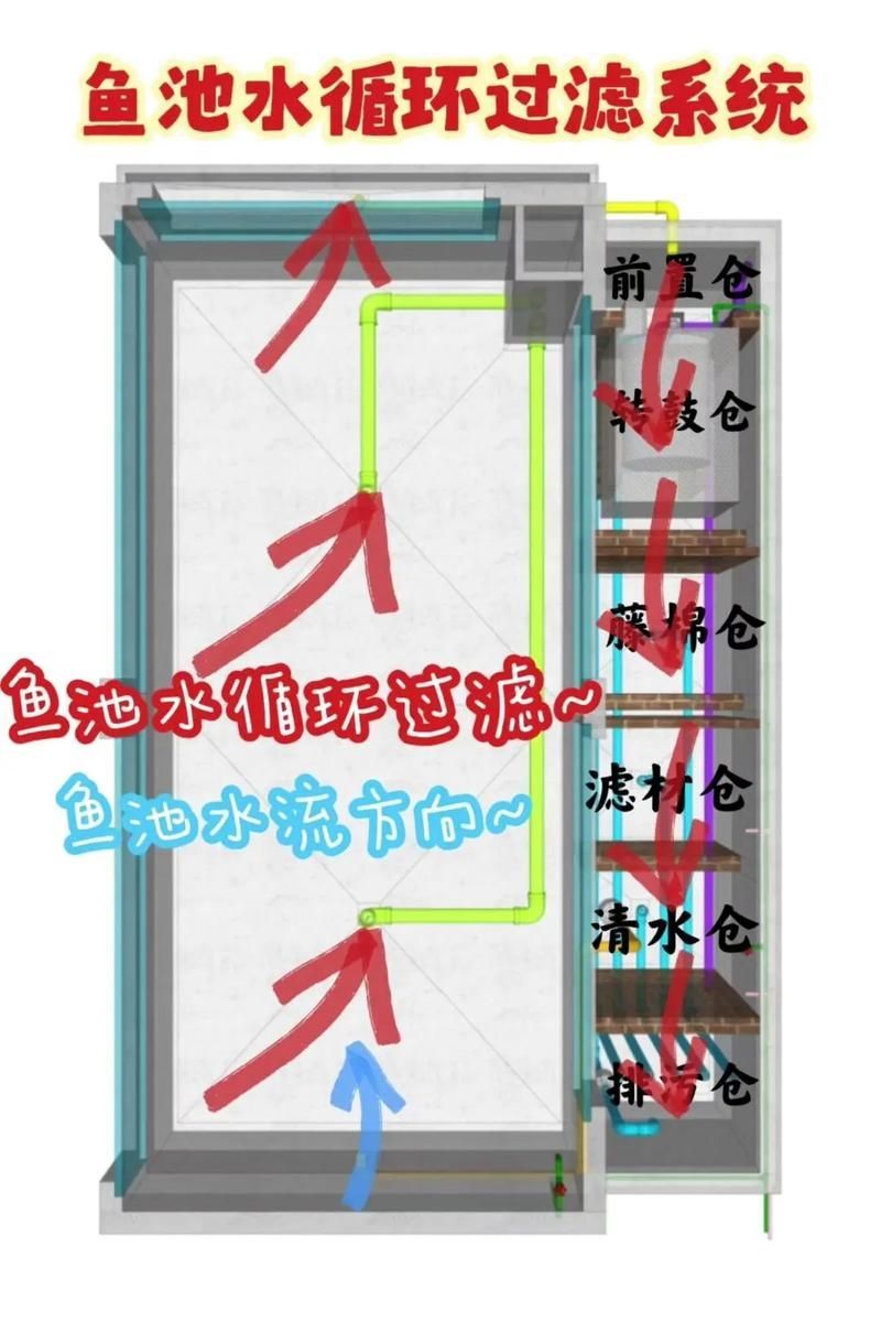 如何預防錦鯉爛尾爛鰭 龍魚百科 第6張 如何預防錦鯉爛尾爛鰭 如何預防錦鯉爛尾爛鰭 龍魚百科 第6張