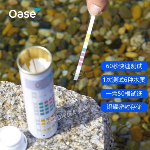 如何預防錦鯉爛尾爛鰭 龍魚百科 第11張 如何預防錦鯉爛尾爛鰭 如何預防錦鯉爛尾爛鰭 龍魚百科 第11張