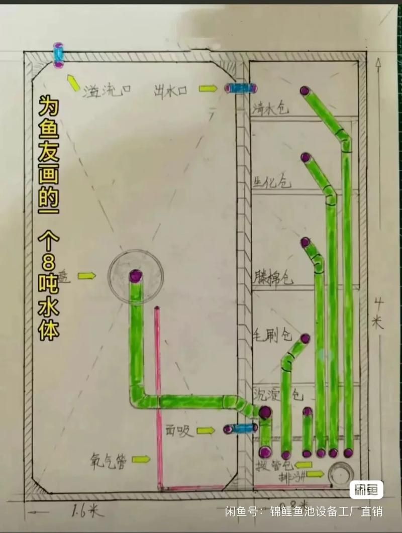 如何預防錦鯉爛尾爛鰭