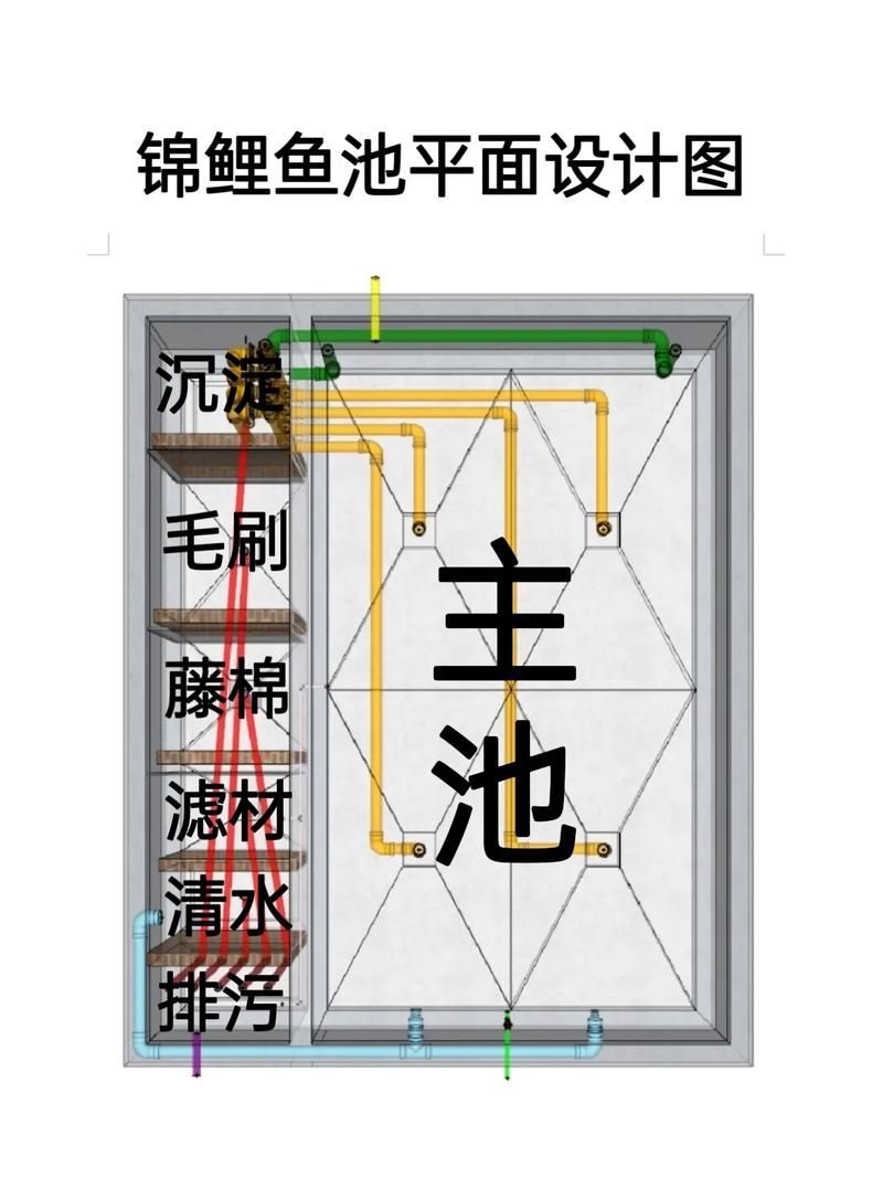 如何預防錦鯉爛尾爛鰭 龍魚百科 第4張 如何預防錦鯉爛尾爛鰭 如何預防錦鯉爛尾爛鰭 龍魚百科 第4張