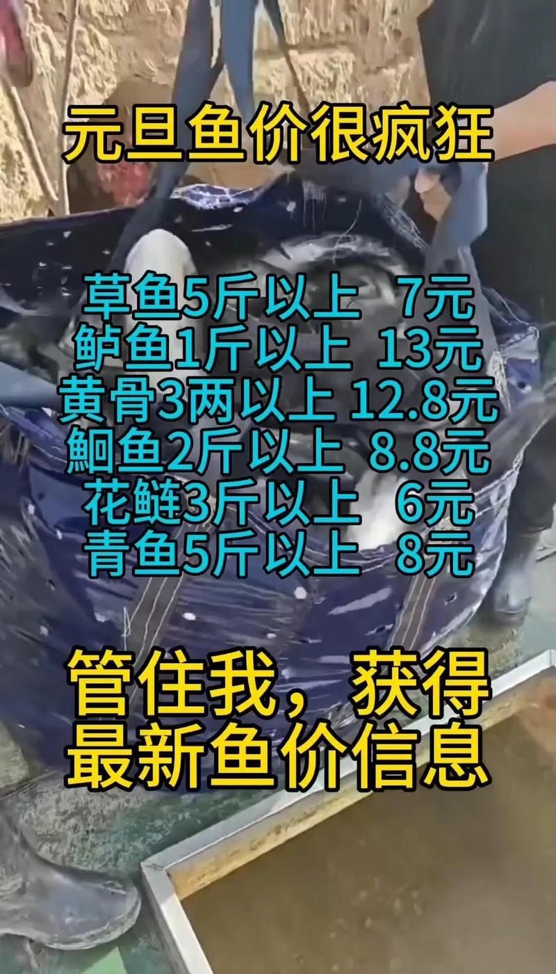 詳細閱讀:觀賞魚價格表大全,氛小達人香氛小達人香氛小達人觀賞魚價格表大全 觀賞魚價格表大全,氛小達人香氛小達人香氛小達人觀賞魚價格表大全