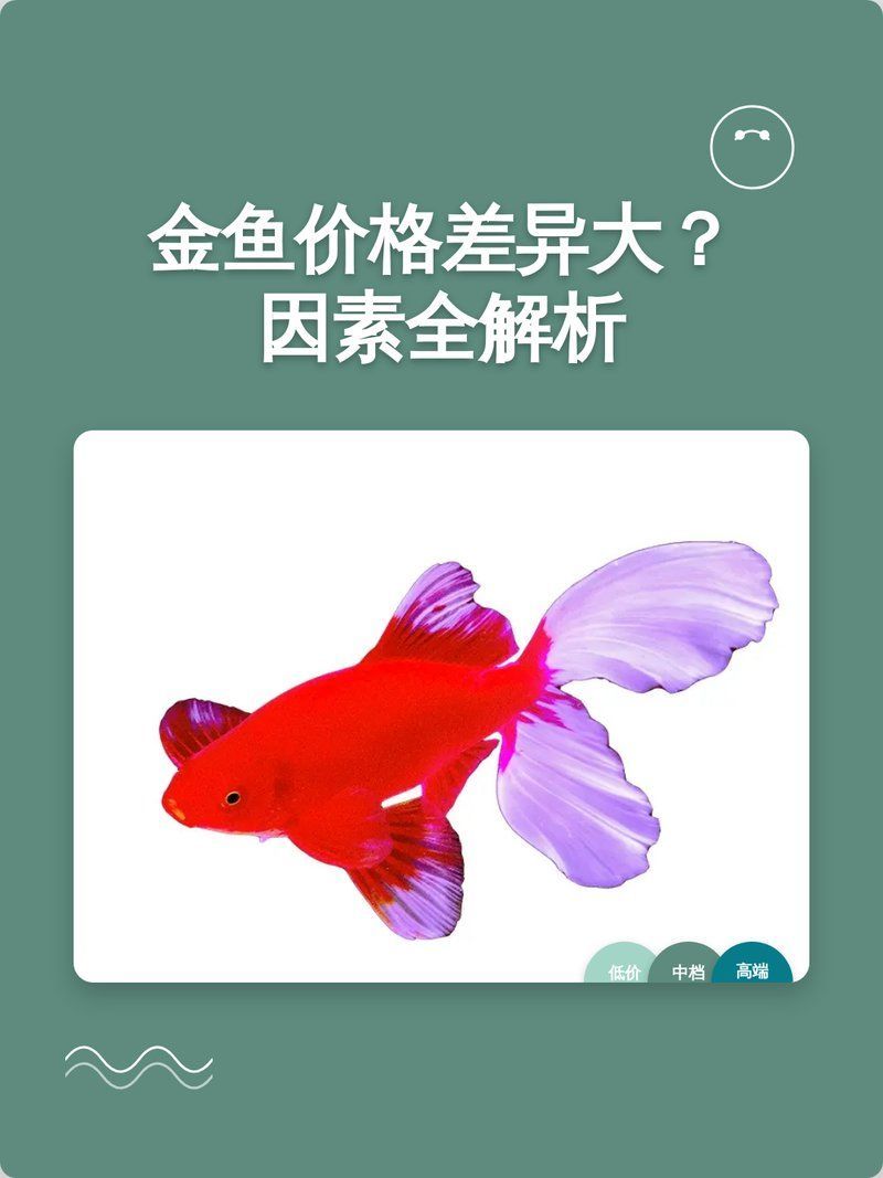 詳細閱讀:觀賞魚價格表大全,氛小達人香氛小達人香氛小達人觀賞魚價格表大全 觀賞魚價格表大全,氛小達人香氛小達人香氛小達人觀賞魚價格表大全