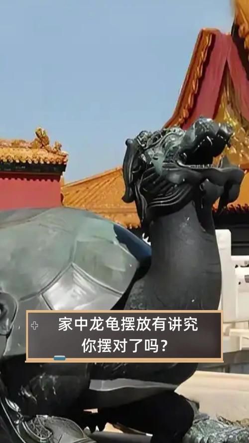 龍龜的擺放方法及禁忌，龍龜擺放方法及禁忌