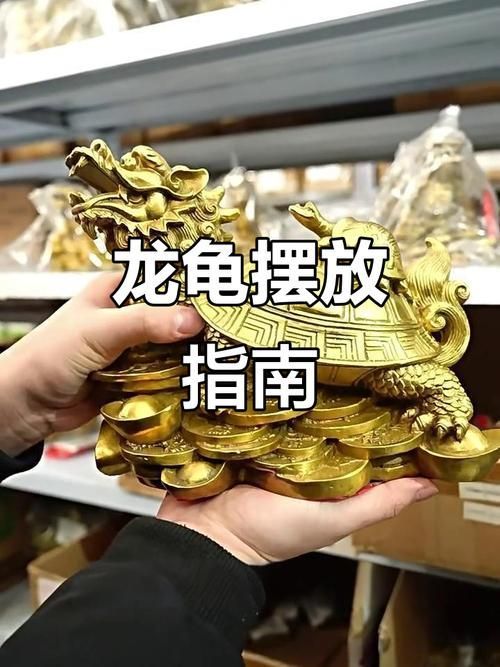 龍龜?shù)臄[放方法及禁忌，龍龜擺放方法及禁忌