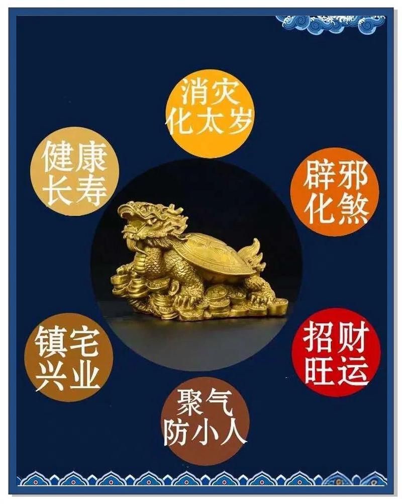 龍龜的擺放方法及禁忌，龍龜擺放方法及禁忌