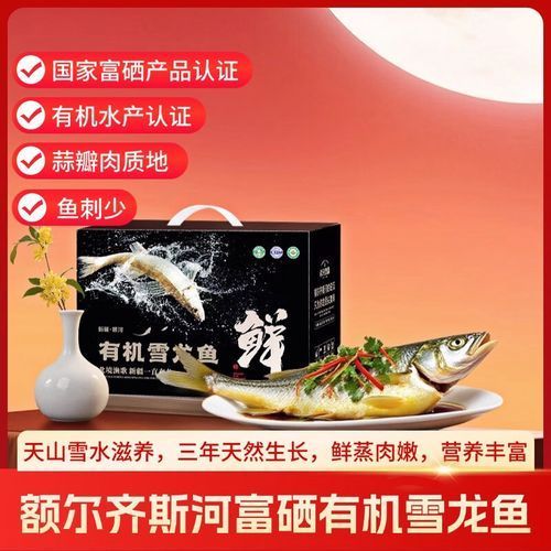 雪龍魚的主要銷售渠道有哪些？，雪龍魚的主要銷售渠道 雪龍魚的主要銷售渠道有哪些？，雪龍魚的主要銷售渠道 龍魚百科 第8張