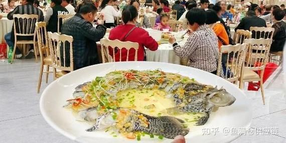 雪龍魚的主要銷售渠道有哪些？，雪龍魚的主要銷售渠道 雪龍魚的主要銷售渠道有哪些？，雪龍魚的主要銷售渠道 龍魚百科 第7張